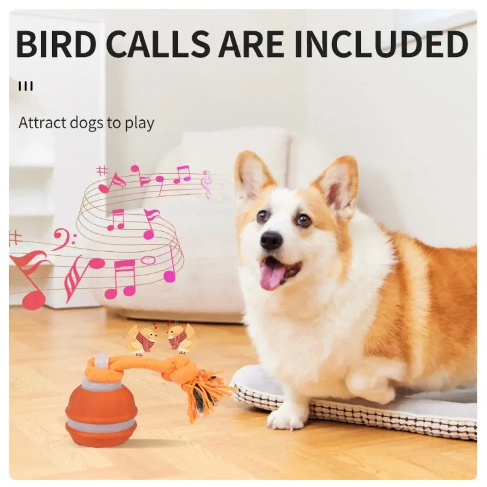 Pet Ball for Dogs Interactive Toys Motion Activate Rolling Ball for Puppy/Small Dogs Automatic Moving Toy USB Rechargeable Toy